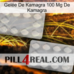 Gelée De Kamagra 100 Mg De Kamagra 17